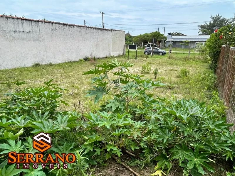 Terreno, 300 m² - Foto 7